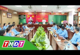 Ban Quản lý dự án dân dụng Đồng Tháp chuẩn bị, triển khai 70 dự án | THDT